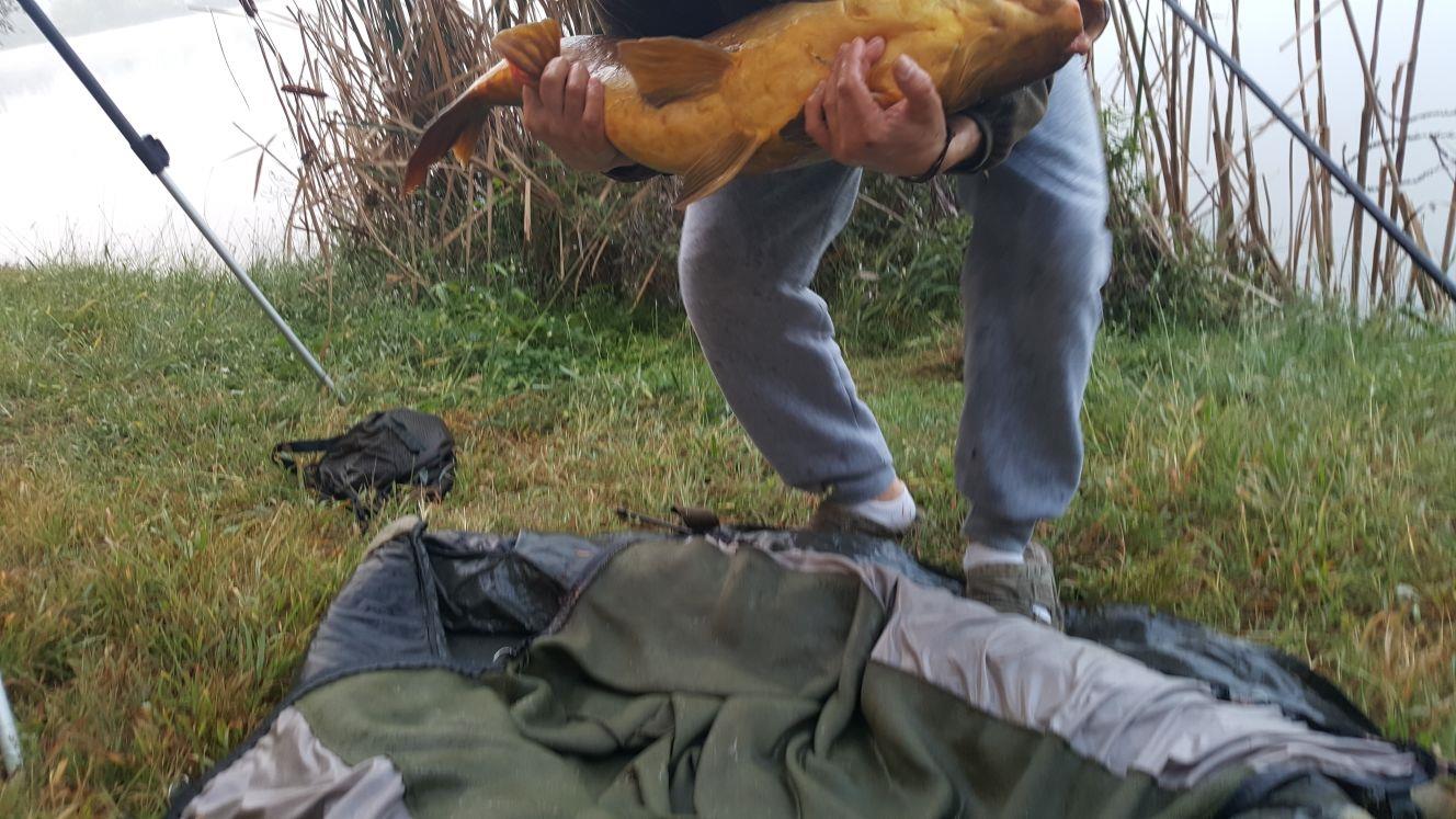 ISOLA DEL PESCATORE 4 - 5 oct. - img-20171007-wa0013.jpg